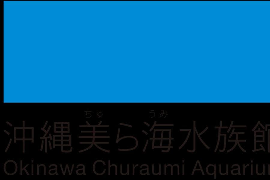 颱風 Saudel 一日取消279班日本航班——沖繩「可退房價」值唔值,港人自己計數
