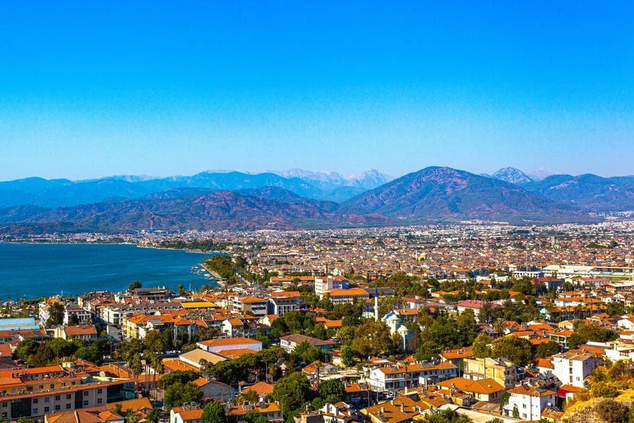 費特希耶
